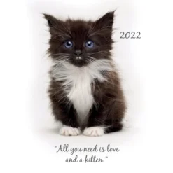 Cute Kittens 2022 Premium A5 Padded Cover Diary Planner Christmas New Year Gift