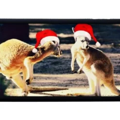 For IPhone 6S,6 Case, Christmas Kangaroos High-QUality Shielding Cover