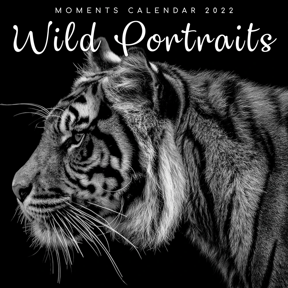 Wild Portraits 2022 Premium Square Wall Calendar 16Month New Year Christmas Gift 3 Wild Portraits 2022 Premium Square Wall Calendar 16Month New Year Christmas Gift