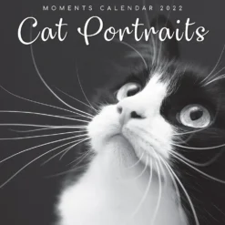 Cat Portraits 2022 Premium Square Wall Calendar 16 Month New Year Christmas Gift