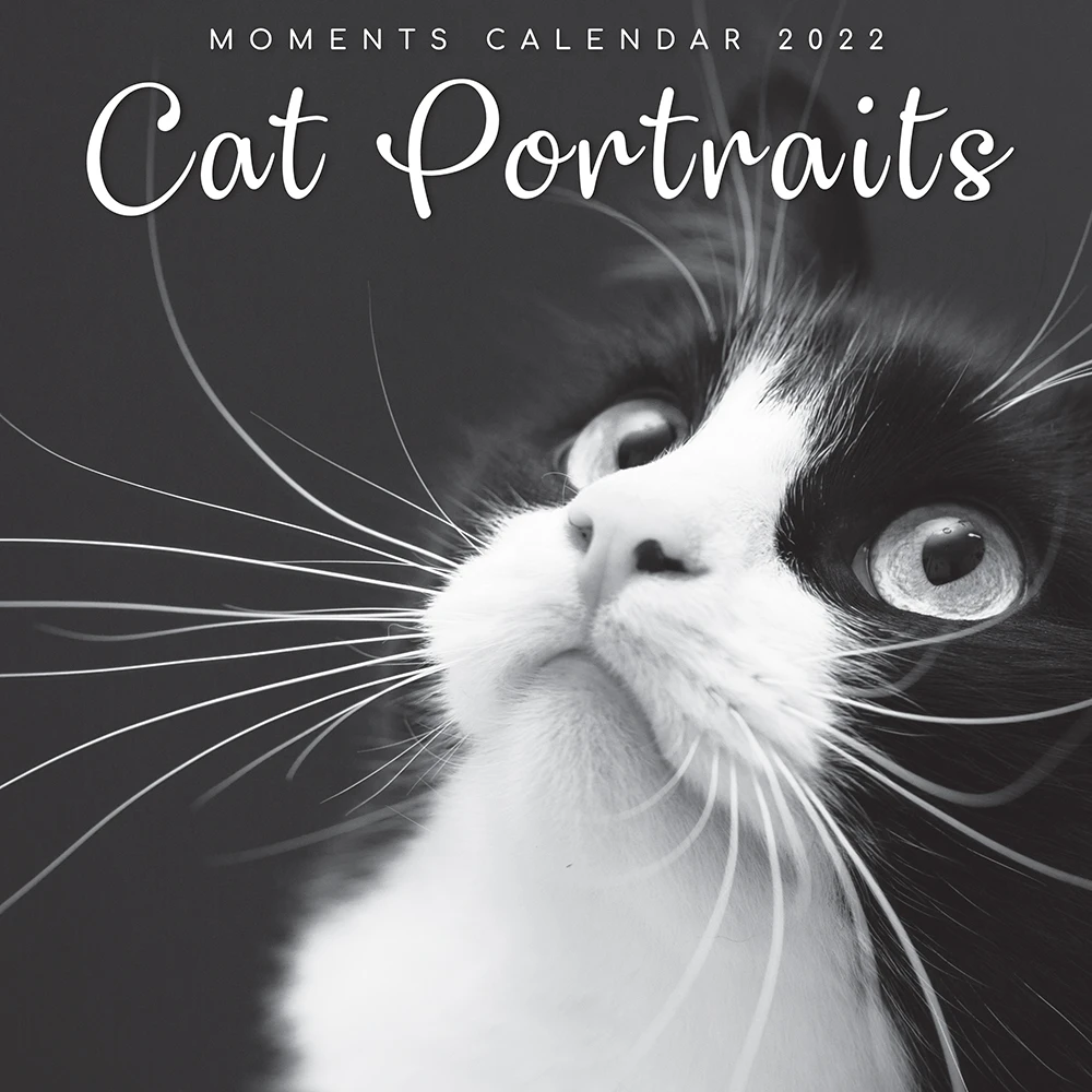 Cat Portraits 2022 Premium Square Wall Calendar 16 Month New Year Christmas Gift 3 Cat Portraits 2022 Premium Square Wall Calendar 16 Month New Year Christmas Gift
