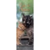 Cats & Kittens - 2022 Slim Slimline Wall Calendar New Year Christmas Gift 2 Cats & Kittens - 2022 Slim Slimline Wall Calendar New Year Christmas Gift -Amscan Sales Store 422b370a8ecbd519efbdac967f239c91