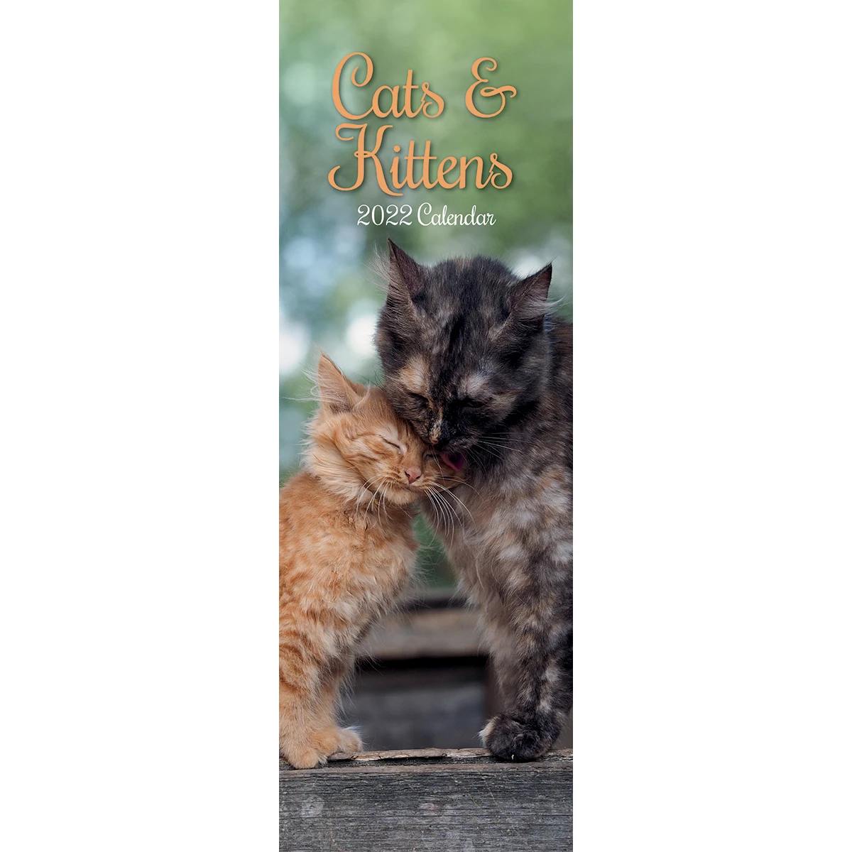 Cats & Kittens - 2022 Slim Slimline Wall Calendar New Year Christmas Gift 3 Cats & Kittens - 2022 Slim Slimline Wall Calendar New Year Christmas Gift
