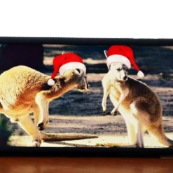For IPhone 6S,6 Case, Christmas Kangaroos High-QUality Shielding Cover 9 For IPhone 6S,6 Case, Christmas Kangaroos High-QUality Shielding Cover -Amscan Sales Store 63ade1efeac3c65fc7e51924537ecd29