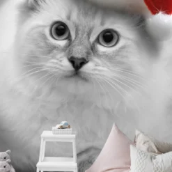 3D Kitten Christmas Hat 112 Wall Murals Self-adhesive Vinyl -Amscan Sales Store 6f2f33cbc84f45bd3953917282609974