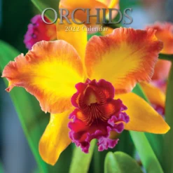 Orchids 2022 Premium Square Floral Wall Calendar 16Month New Year Christmas Gift