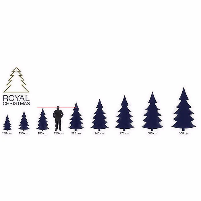 Royal Christmas Georgia Christmas Tree 4 Royal Christmas Georgia Christmas Tree - Image 2