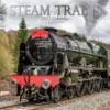 Steam Trains 2022 Premium Square Wall Calendar 16 Months New Year Christmas Gift 1 Steam Trains 2022 Premium Square Wall Calendar 16 Months New Year Christmas Gift -Amscan Sales Store ae9c82d2e792bed1e141a8a926ce961d