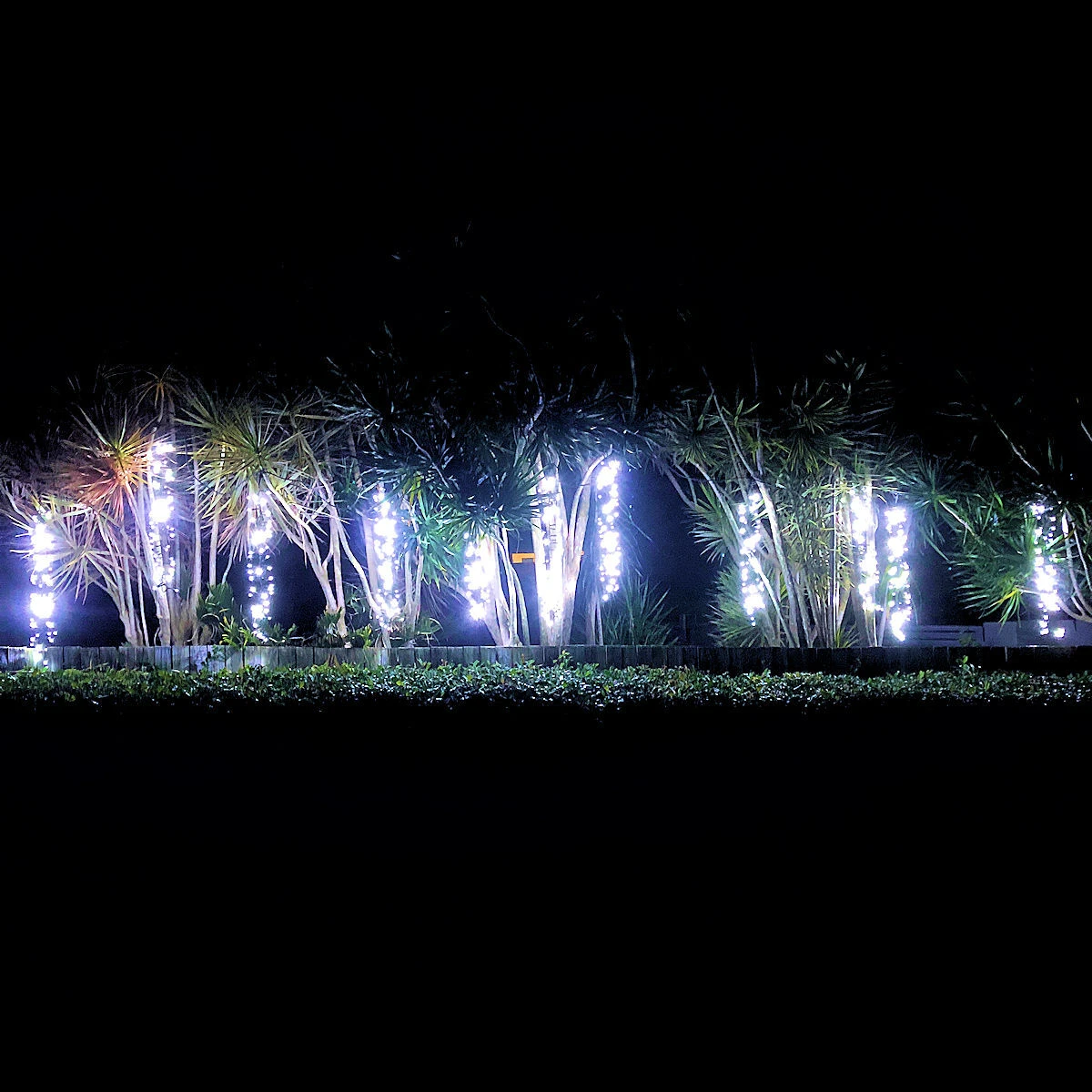 Christmas Complete Firecracker Lights COOL WHITE 10m 5 Christmas Complete Firecracker Lights COOL WHITE 10m - Image 3